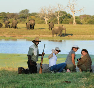 Victoria Falls og Hwange National Park