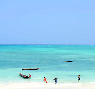 Fly-inn Gorilla Trekking og Zanzibar