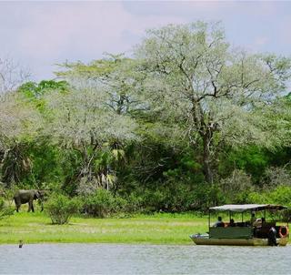 Safari i Nyerere National Park og Mafia Island