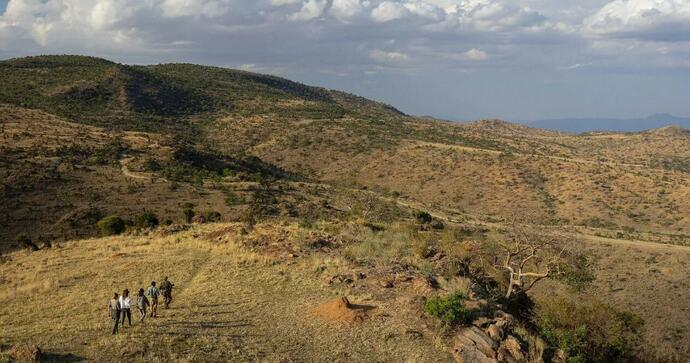 Borana Lodge