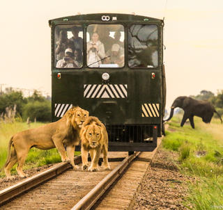 Mægtige Victoria Falls The Elephant Express Hwange National Park