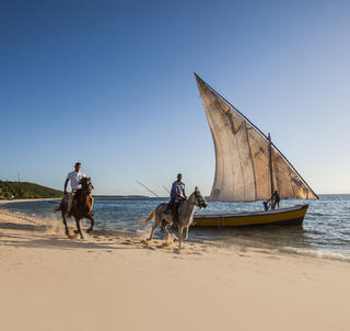 Safari og Mosambique