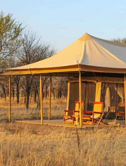 Familien Sundberg: Safari Manyara, Serengeti og Ngorongoro