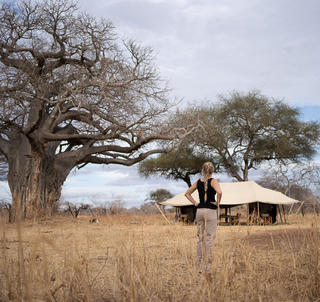 Familiesafari Tanzania og Zanzibar