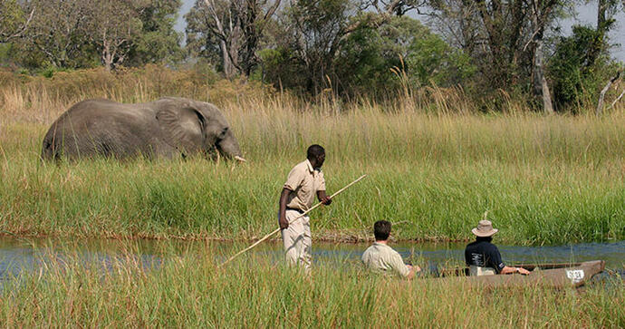 Moremi Crossing