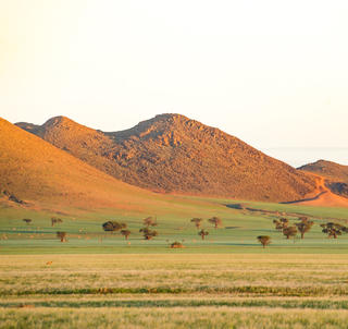 Den store Namibiarejse