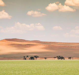 Cape Town og Namibia