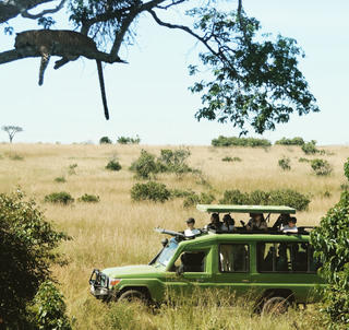 Masai Mara og Malindi