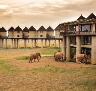 Jul 2025 - Safari i Afrikas smukkeste landskab og Diani Beach