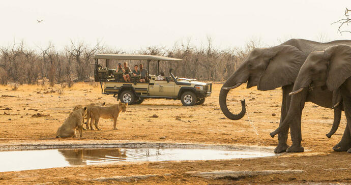 Savute Safari Lodge