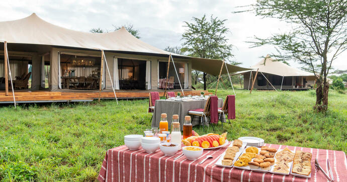 Serengeti Acacia Bliss