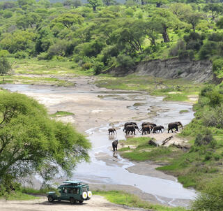 Lemosho-ruten, safari og Zanzibar