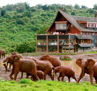 Aberdare, Lake Naivasha og Masai Mara