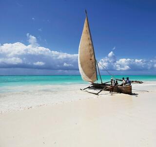 Bryllupsrejse Tanzania og Zanzibar