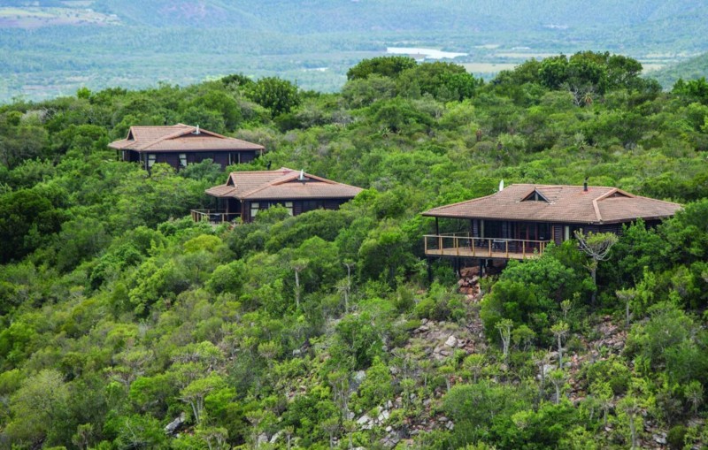 Pludselig har en flok elefanter blokeret vejen, og i et øjeblik står tiden stille... Vi vender tilbage til Kariega Main Lodge med et smil på læben og sovende børn.