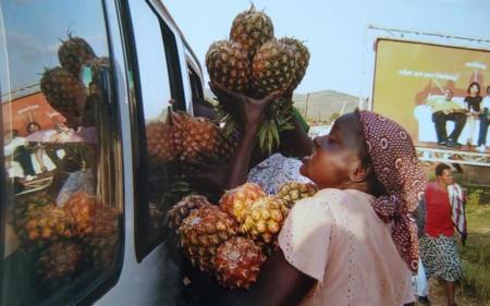 Ananassælger, Chabera Kenya